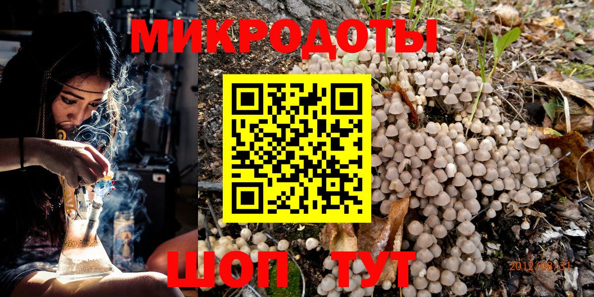 Псилоцибиновые грибы прущие грибы Сальск