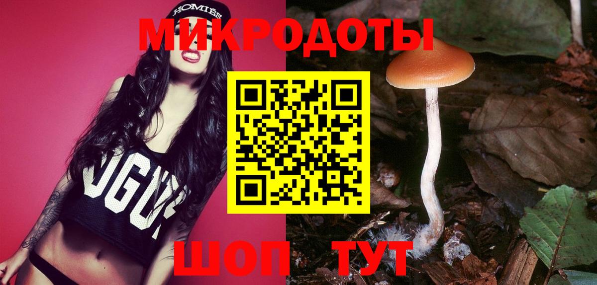 Псилоцибиновые грибы Psilocybine cubensis  Псилоцибиновые грибы мицелий  Вход с VPN  где продают наркотики  Сальск 